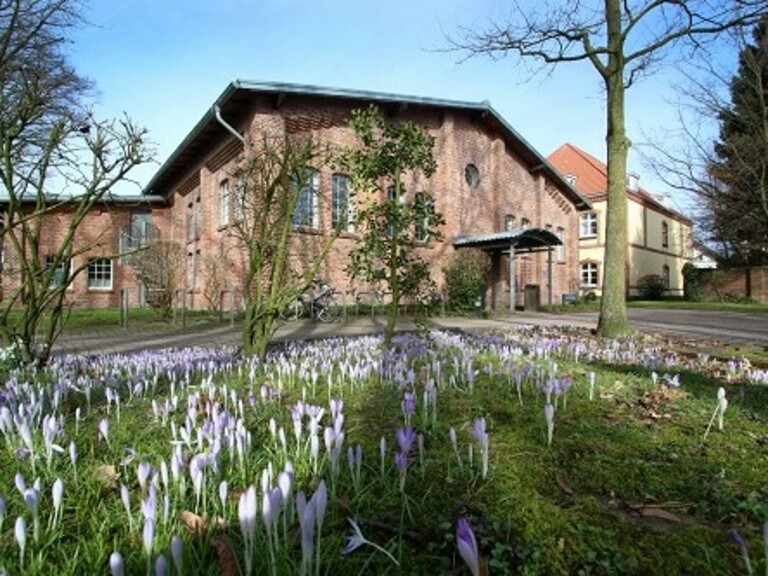 Außenansicht der Bibliothek in Oldenburg mit Frühlingsblumen im Vordergrund