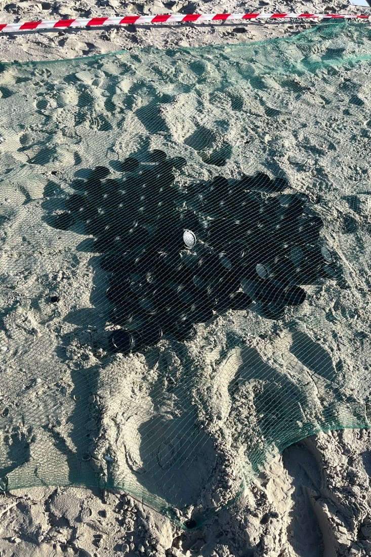 Polypropylen
