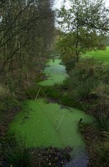 Messgebiet Emsland Moormuseum