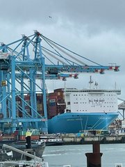 Hafen mit einem großen Containerschiff. Im Vordergrund stehen Kräne