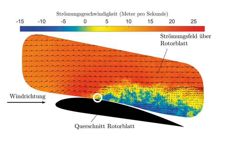 Strömungsfeld über dem Rotorblatt einer Modellwindturbine. Der Kreis markiert den Strömungsabriss (Grafik: T. Wester, ForWind)