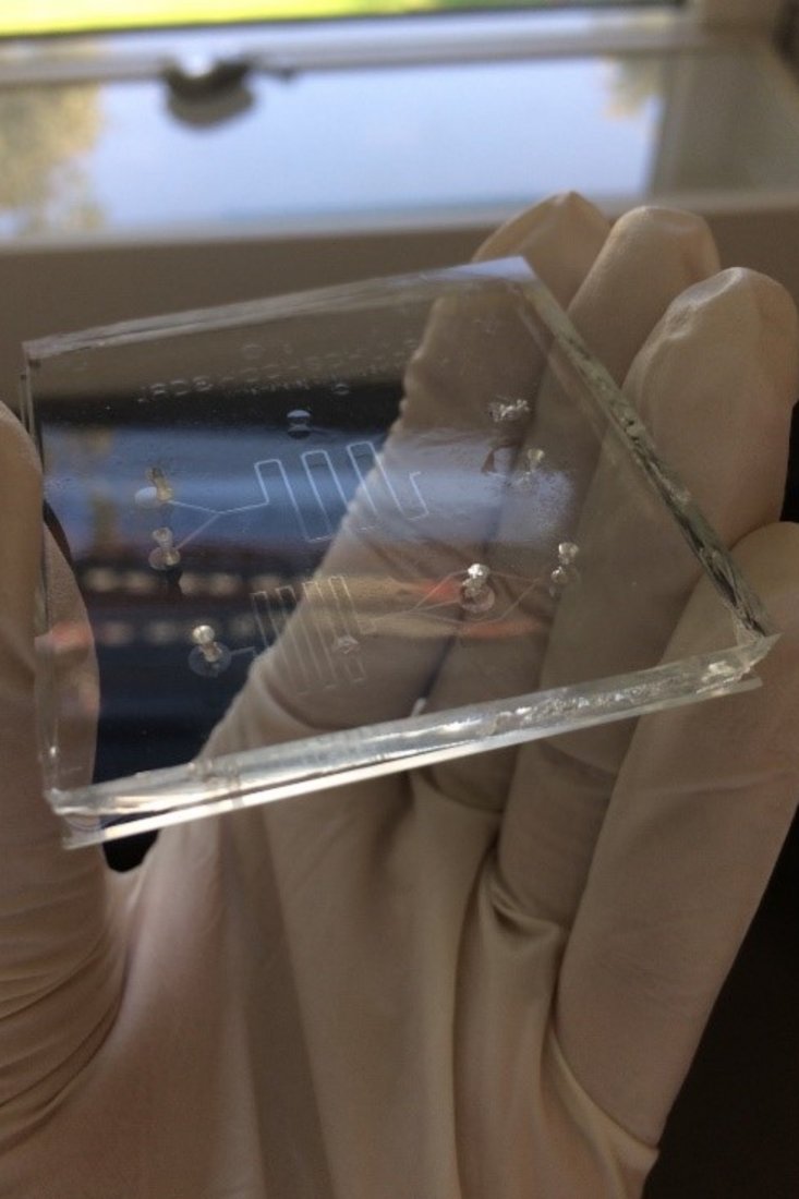 Microfluidic chip made in PDMS technology