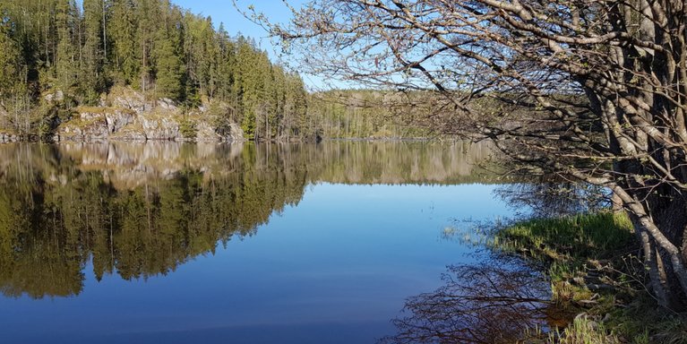 Haltia National Park (Foto: Goodfellow/Jade HS)