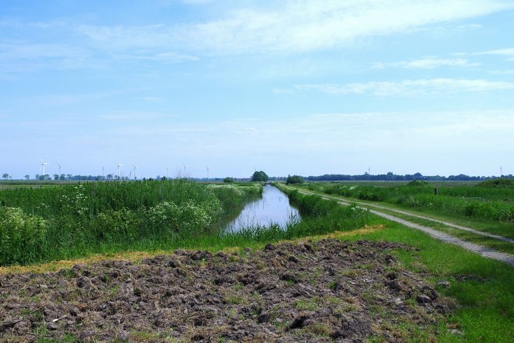 Der tiefste Punkt des Einzugsgebietes des I.EVE (siehe Bild) liegt drei Meter unter dem Meeresspiegel. Ohne die Entwässerungsgräben wäre das Gebiet zu nass um hier Landwirtschaft zu betreiben. Foto: Jenny Kebschull/Jade HS