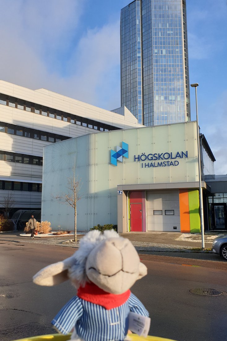 Das Deichschaf "Wolle" begleitet regelmäßig Studierende ins Ausland, so auch nach Schweden an die Högskolan i Halmstad. (Foto: Iris Reuther)