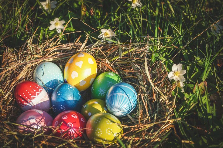 Osternest (Foto: Pixabay)