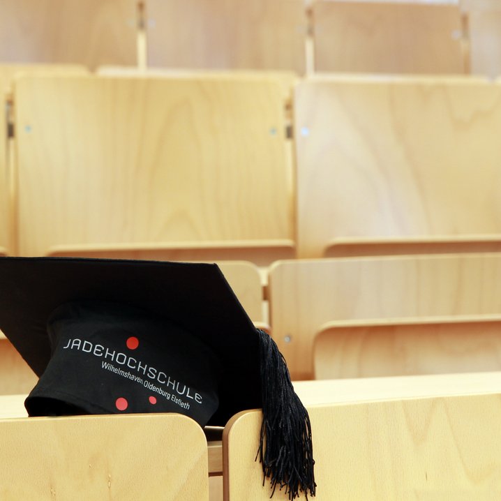 Netzwerktreffen Promotion: Forschende präsentieren Dissertationsprojekte (Foto: Piet Meyer)