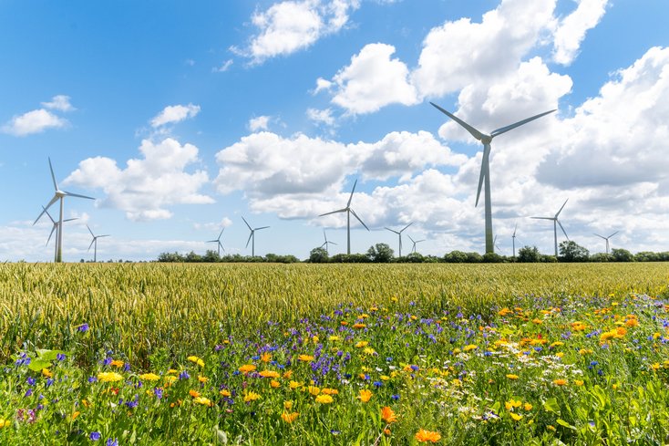Im Jahr 2021 gab es in Deutschland 29.608 Windenergieanlagen an Land, mit 6.119 standen davon die meisten in Niedersachsen. Um die Ziele der Energiewende zu erreichen, werden jedoch viel mehr nachhaltige Energiequellen und auch Windenergieanlagen benötigt. (Foto: Sonja/Adobe Stock)