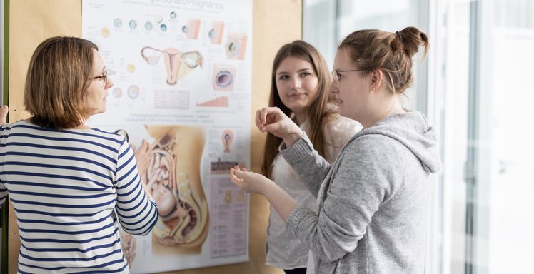 Anatomie lernen an einer Schautafel.