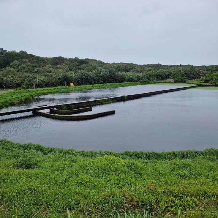 Im Nachklärbecken werden die gereinigten festen Bestandteile (Belebtschlamm) vom geklärten Wasser durch Sedimentation getrennt werden. (Foto: privat)