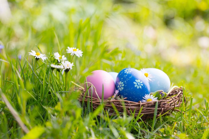 Foto: Adobe Stock