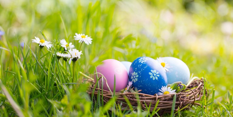Foto: Adobe Stock