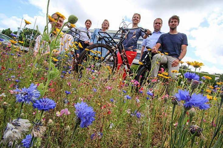 Die AG Nachhaltigkeit beim Projekt Blumenwiese (Foto: Jade HS)