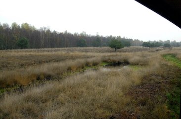 Messgebiet Emsland Moormuseum