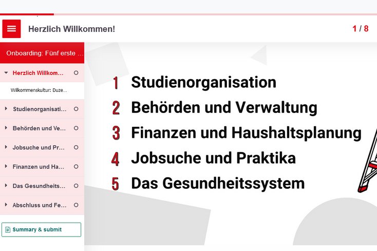 Abbildung: Selbstlernmodul im offenen Moodle