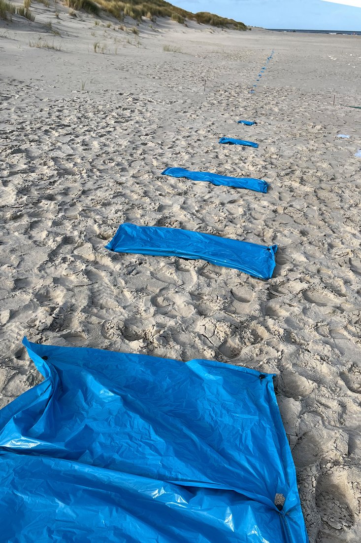 LDPE (Low Density Polyethylene)
