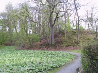 Messgebiet Burg Elmendorf