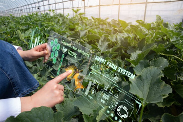 AR in der Gärtnerei