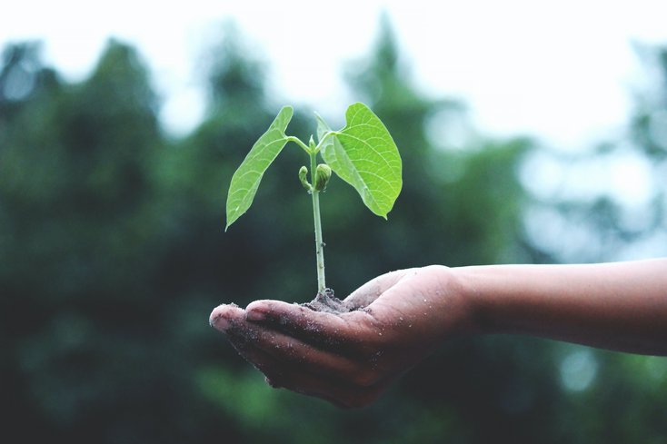 Nachhaltige Projekte an der Hochschule (Foto: pexels)