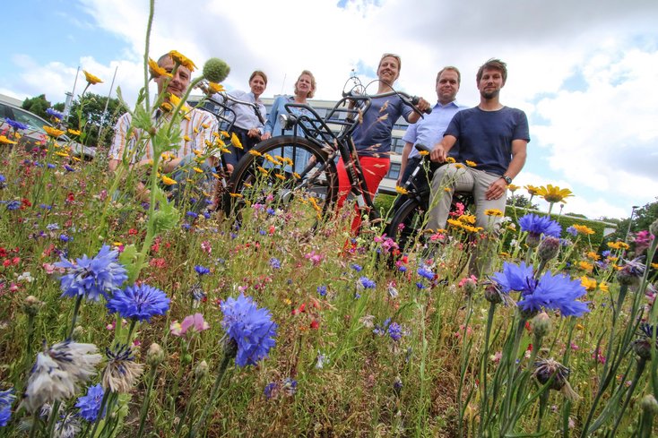 Die AG Nachhaltigkeit der Jade Hochschule hat schon viele Projekte geplant und umgesetzt – unter anderem eine Blumenwiese am Campus Wilhelmshaven. (Foto: Jade HS)