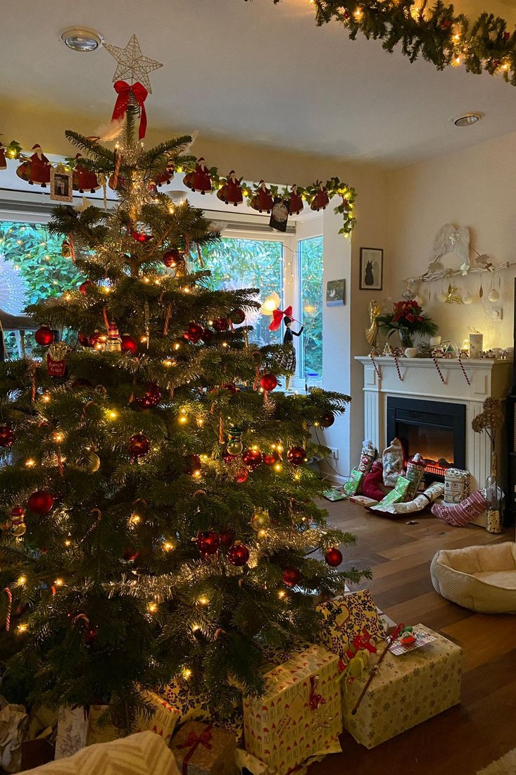 Bunte Zuckerstangen und Strümpfe am Kamin: Jennifer Hinrichs gewährt uns einen kleinen Blick ins festlich geschmückte Wohnzimmer. (Foto: Jennifer Hinrichs)