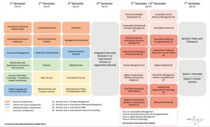 Curriculum für den Studiengang IBS