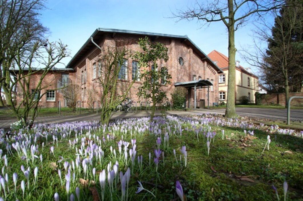 Außenansicht der Bibliothek in Oldenburg mit Frühlingsblumen im Vordergrund