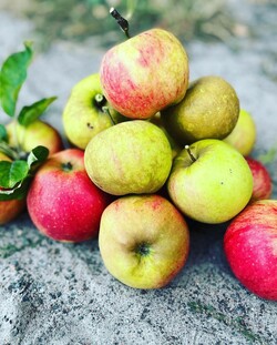 Apfel
