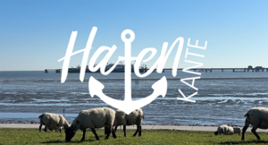 Küstenansicht mit Wiese und Schafen, im Hintergrund das Meer. Darauf ist der Schriftzug "Havenkante" zu lesen