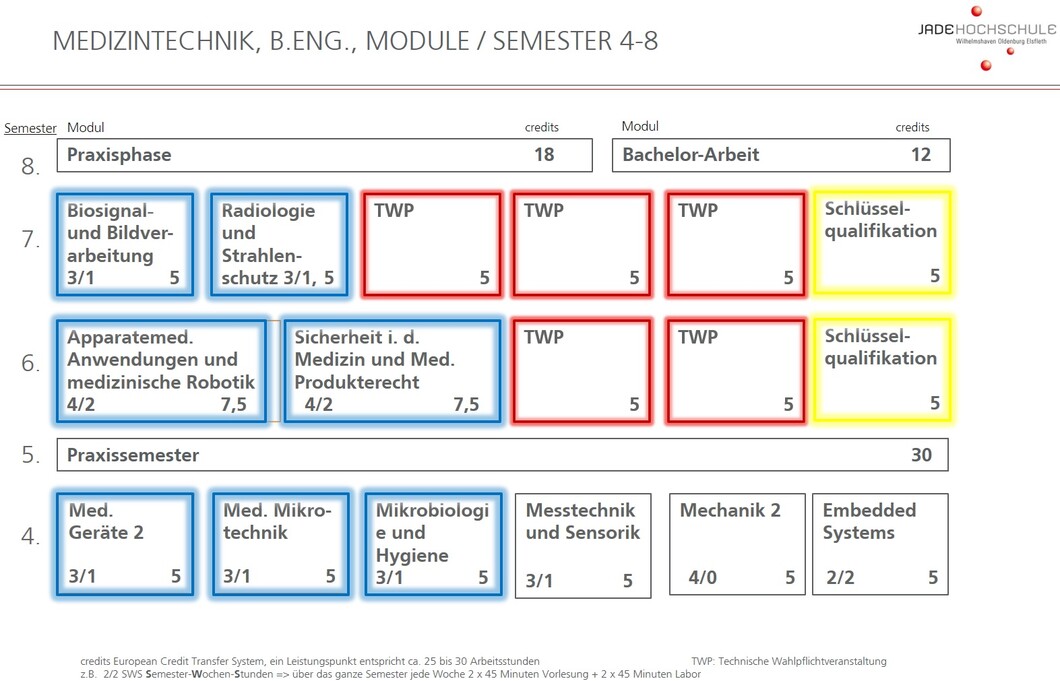 Medizintechnik Semester 4-8 Studienstruktur