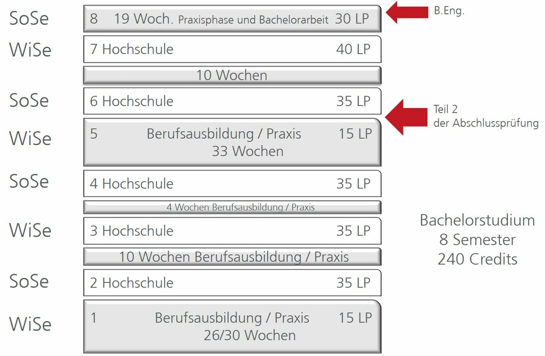 Studienablauf duales Studium