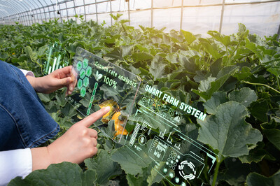 Foto: Augmented Reality in einer Gärtnerei