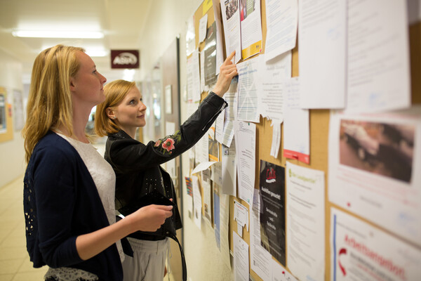 Studierende am Board für Stellenausschreibungen
