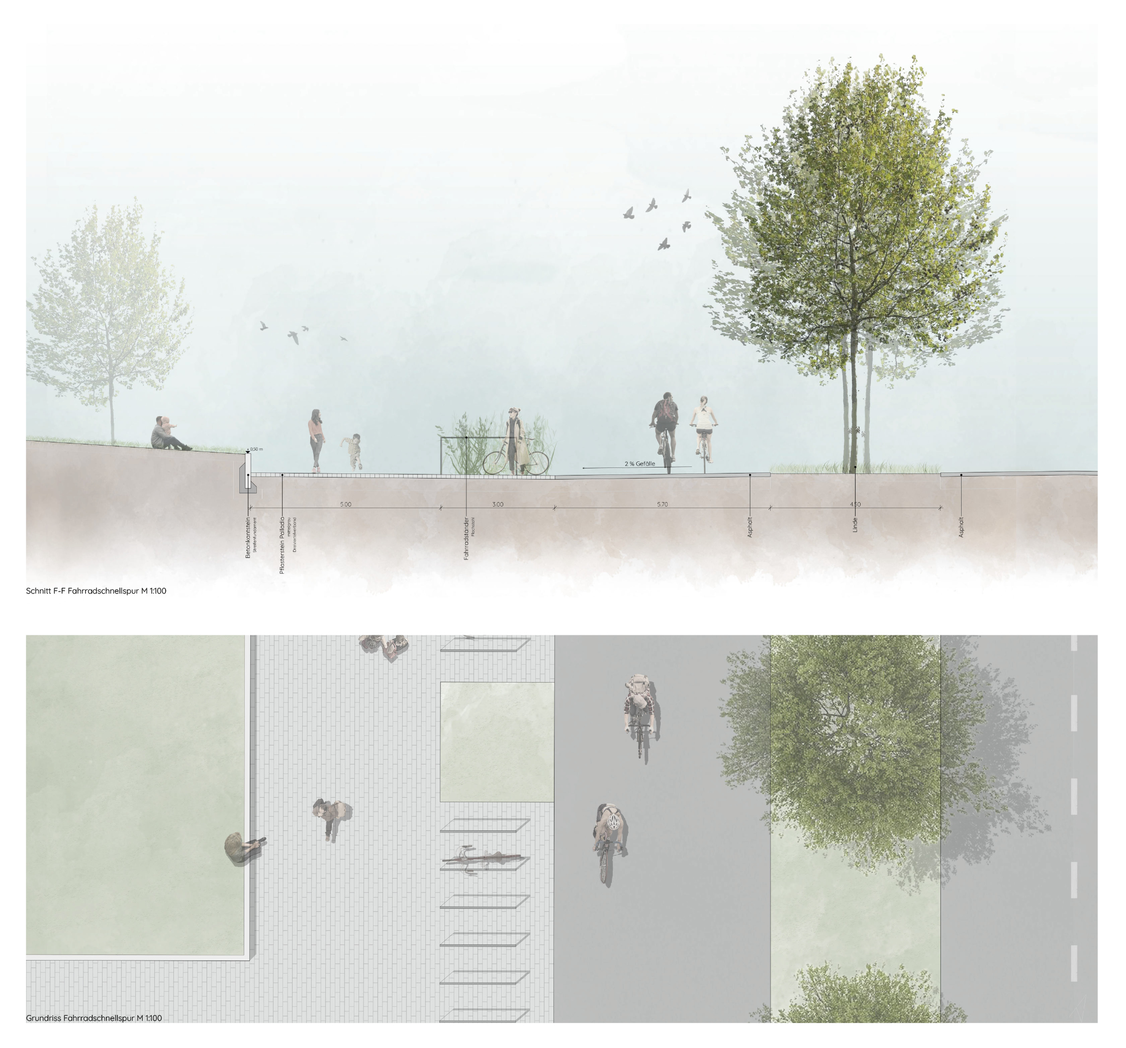 Grundriss und Schnitt Fahrradschnellspur