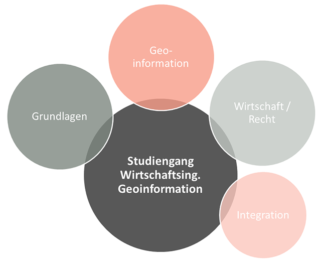 Visualisierung zur Gewichtung der Kompetenzbereiche Studiengang Wirtschaftsingenieurwesen Geoinformation