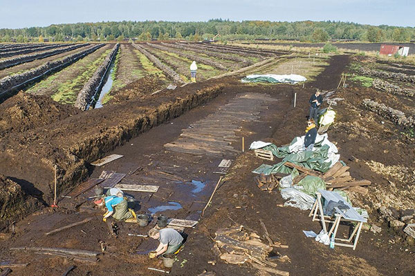 
Bohlenweg PR VI, Aschener Moor in Lohne, Landkreis Diepholz (Foto: H. Furs)