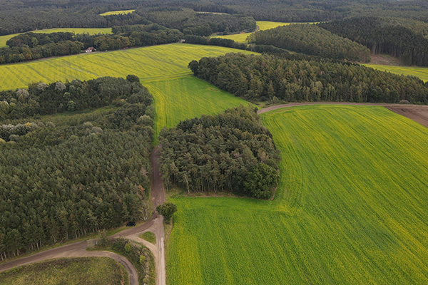 Niedersächische Landschaft